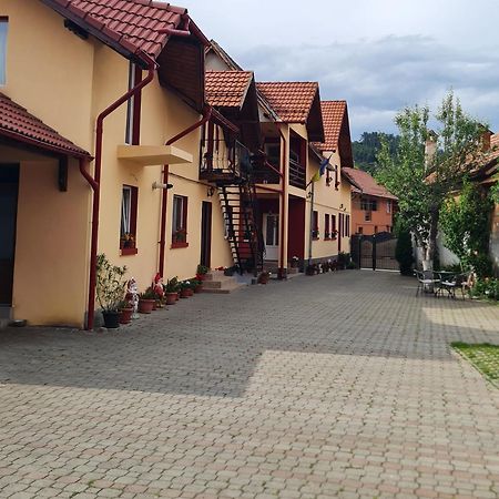 Vila Vladut Zarnesti Exterior photo