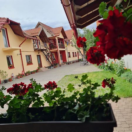 Vila Vladut Zarnesti Exterior photo