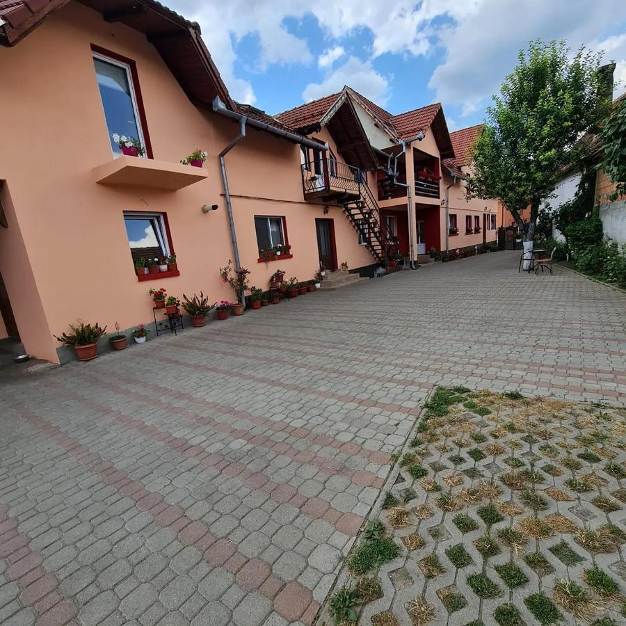 Vila Vladut Zarnesti Exterior photo