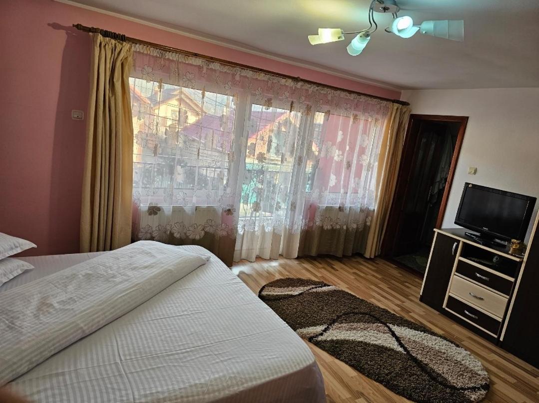 Vila Vladut Zarnesti Exterior photo