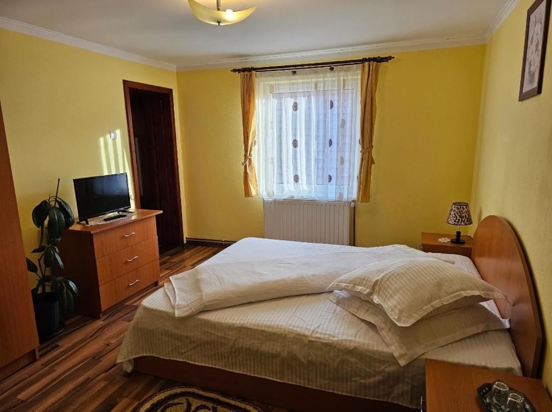 Vila Vladut Zarnesti Exterior photo