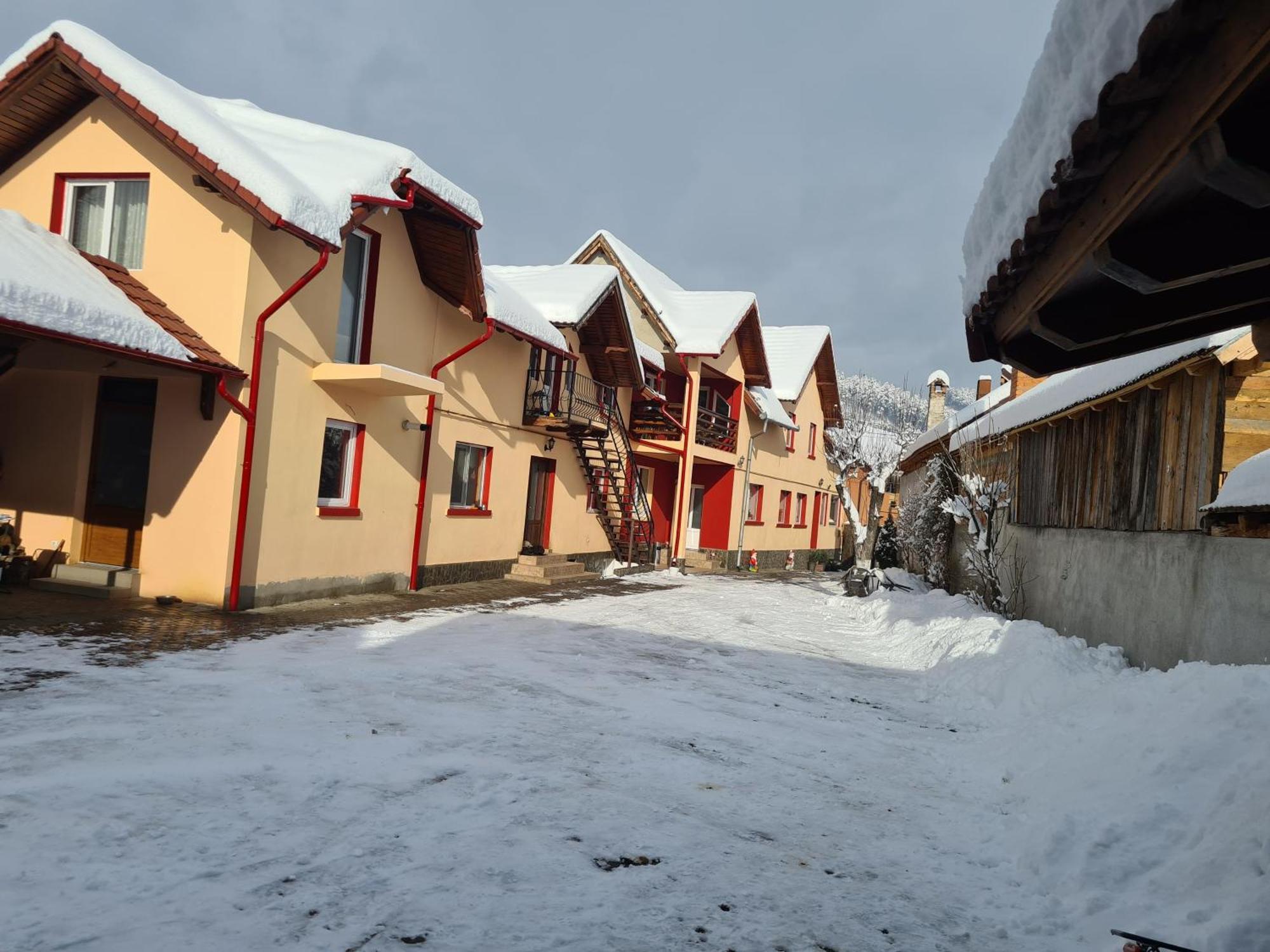 Vila Vladut Zarnesti Exterior photo