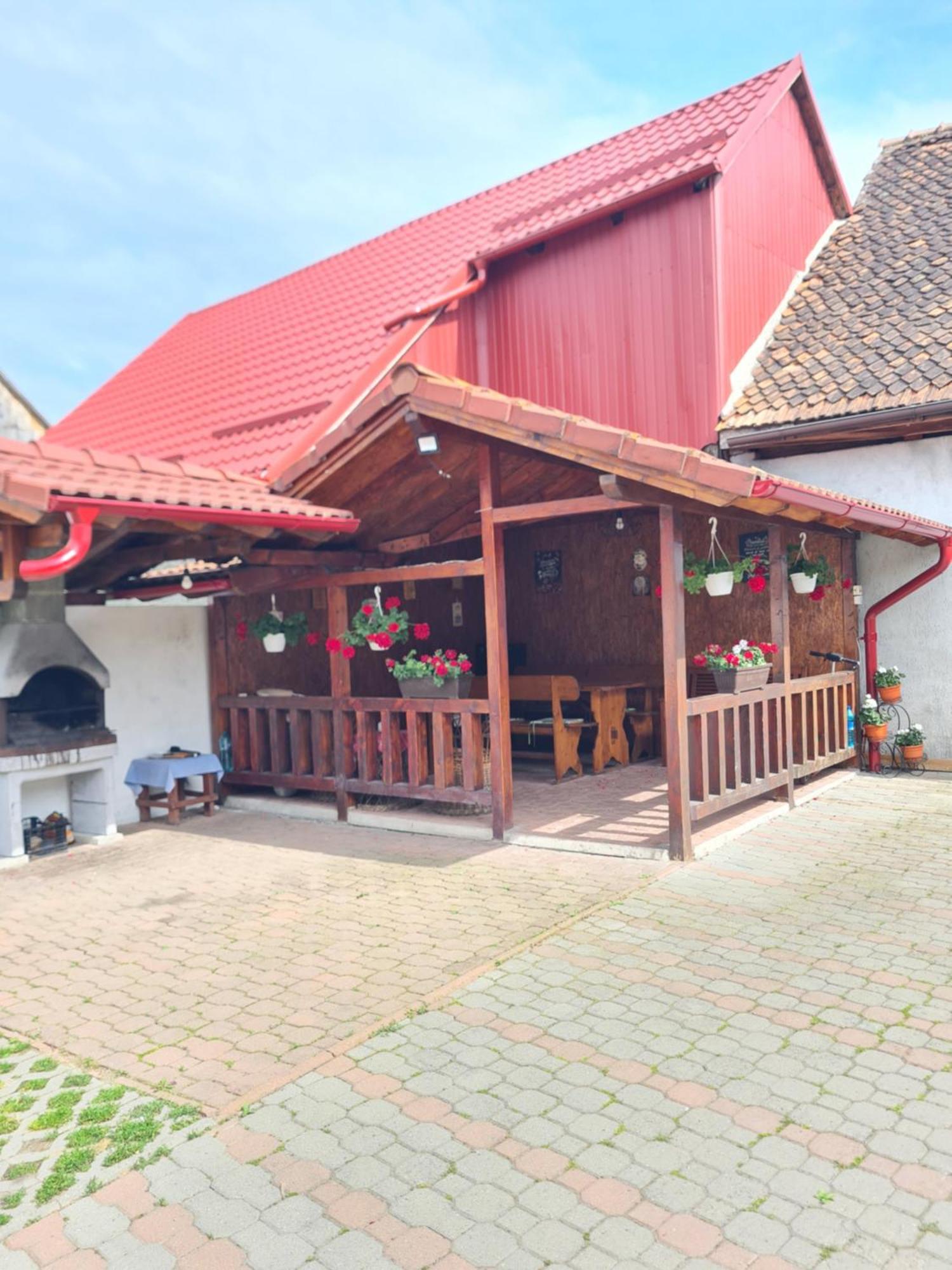 Vila Vladut Zarnesti Exterior photo